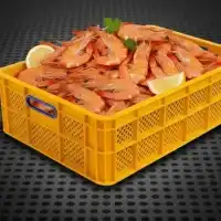 سبد حمل شیالات