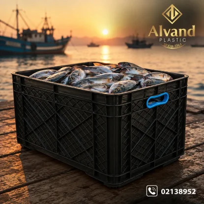 سبد 40 کیلویی قزل آلا